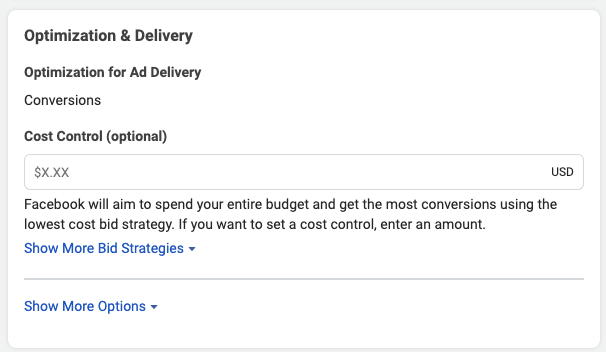 Ad Set Optimization and Delivery